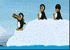 lucha de pinguinos
